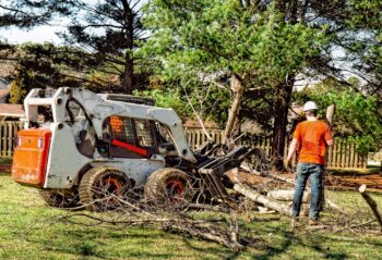 Tree Service Vancouver WA